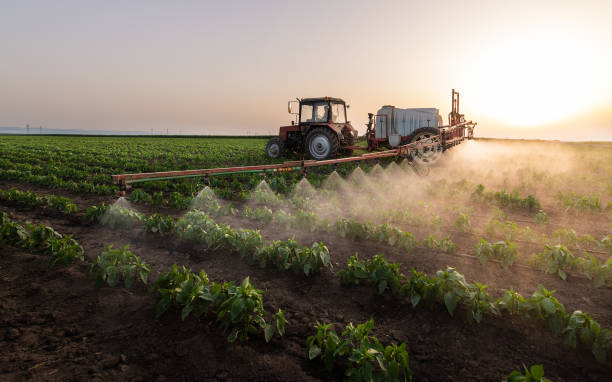 Best Pest Control for Homes  in Platte City, MO