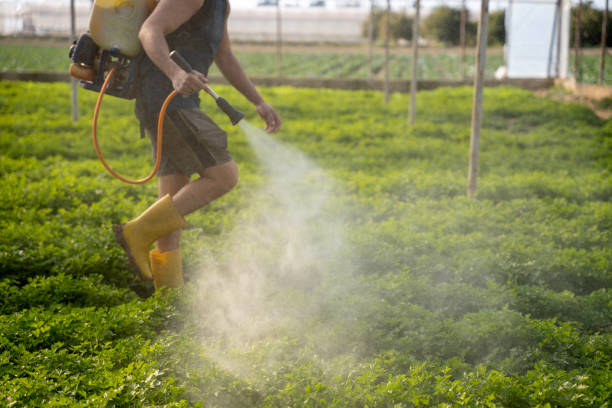 Best Best Pest Control Companies  in Platte City, MO
