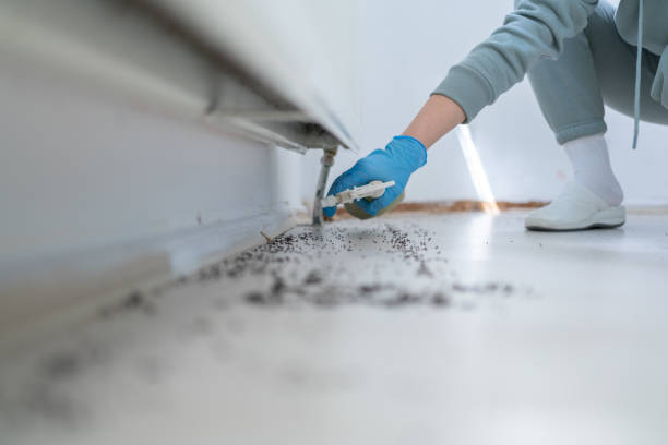 Pest Prevention Services in Platte City, MO