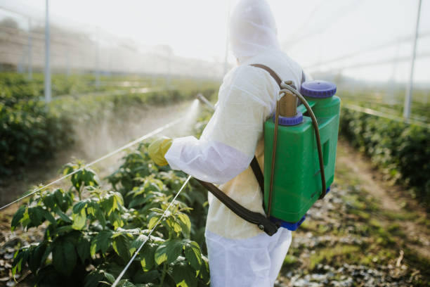 Best Local Pest Control Services  in Platte City, MO